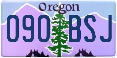 OR license plate 090BSJ