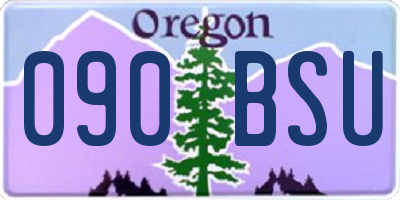 OR license plate 090BSU