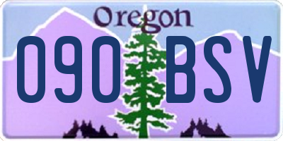 OR license plate 090BSV