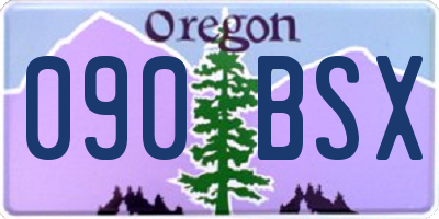 OR license plate 090BSX