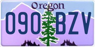OR license plate 090BZV
