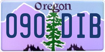 OR license plate 090DIB