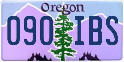 OR license plate 090IBS