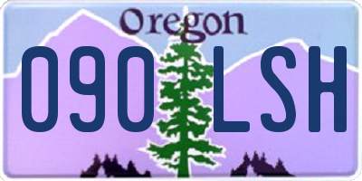 OR license plate 090LSH