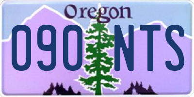 OR license plate 090NTS