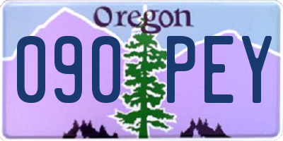OR license plate 090PEY