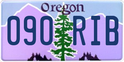 OR license plate 090RIB