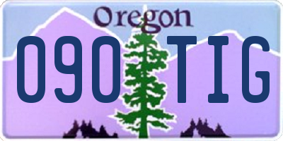 OR license plate 090TIG