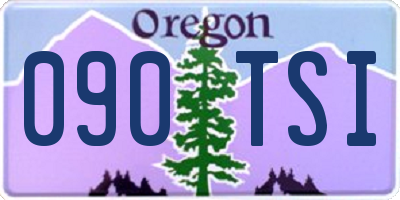 OR license plate 090TSI