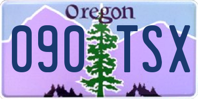 OR license plate 090TSX