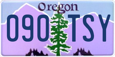 OR license plate 090TSY