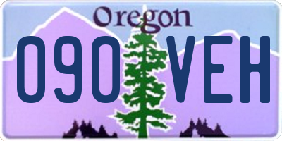 OR license plate 090VEH
