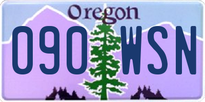 OR license plate 090WSN