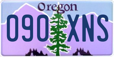 OR license plate 090XNS