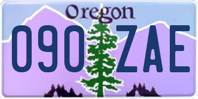OR license plate 090ZAE