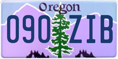 OR license plate 090ZIB