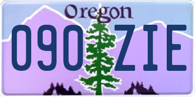 OR license plate 090ZIE