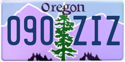 OR license plate 090ZIZ