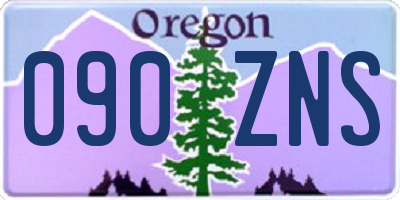 OR license plate 090ZNS