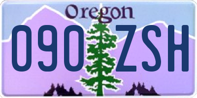 OR license plate 090ZSH