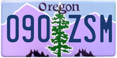 OR license plate 090ZSM