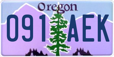 OR license plate 091AEK