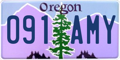 OR license plate 091AMY