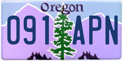 OR license plate 091APN