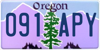 OR license plate 091APY