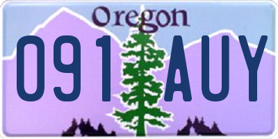 OR license plate 091AUY