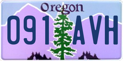 OR license plate 091AVH