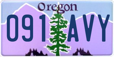OR license plate 091AVY