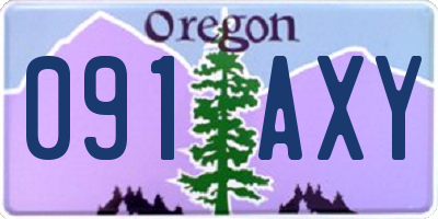 OR license plate 091AXY