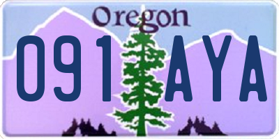 OR license plate 091AYA