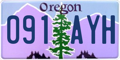 OR license plate 091AYH