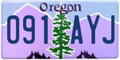 OR license plate 091AYJ