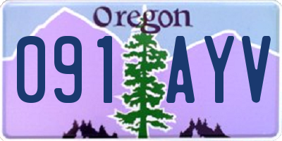 OR license plate 091AYV