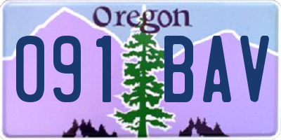 OR license plate 091BAV