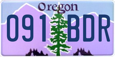 OR license plate 091BDR