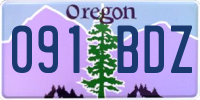 OR license plate 091BDZ