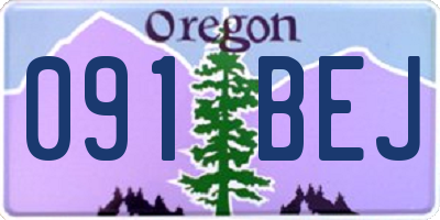 OR license plate 091BEJ
