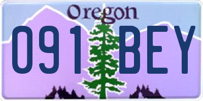 OR license plate 091BEY