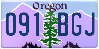 OR license plate 091BGJ