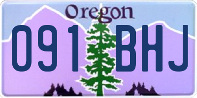 OR license plate 091BHJ