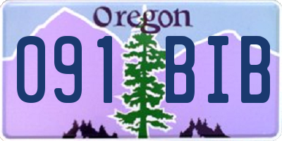 OR license plate 091BIB