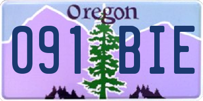 OR license plate 091BIE