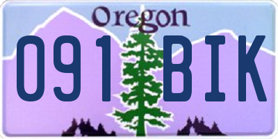 OR license plate 091BIK