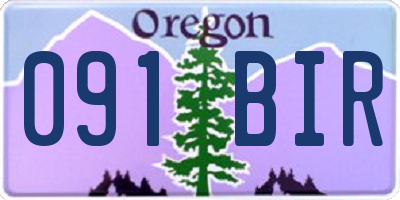 OR license plate 091BIR