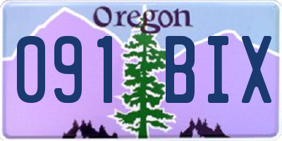 OR license plate 091BIX
