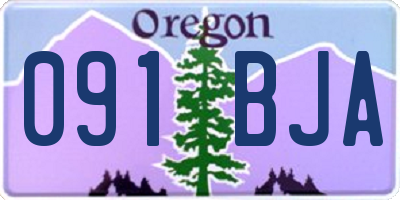 OR license plate 091BJA
